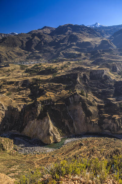 Colca Canyon, Arequipa, Peru, South America
