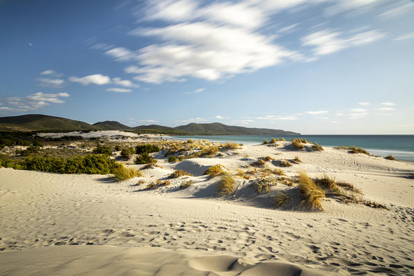 Dune Beach in Porto Pino, Sant' Anna Arresi, Cagliari, Sardinia, Italy