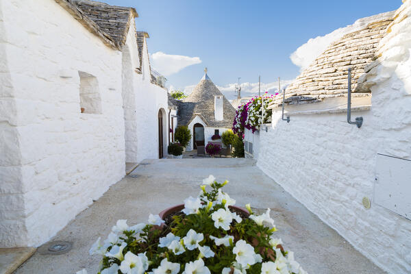 Trulli (typical houses) in Alberobello, Itria Valley, Bari district, Apulia, Italy