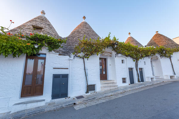 Trulli (typical houses) in Alberobello, Itria Valley, Bari district, Apulia, Italy