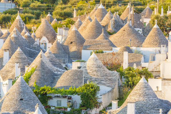 Trulli (typical houses) in Alberobello, Itria Valley, Bari district, Apulia, Italy