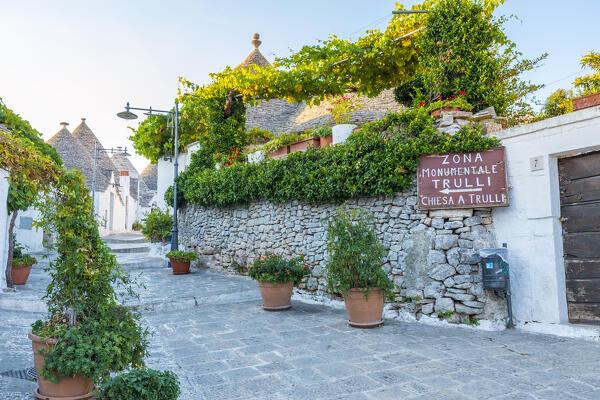 Trulli (typical houses) in Alberobello, Itria Valley, Bari district, Apulia, Italy