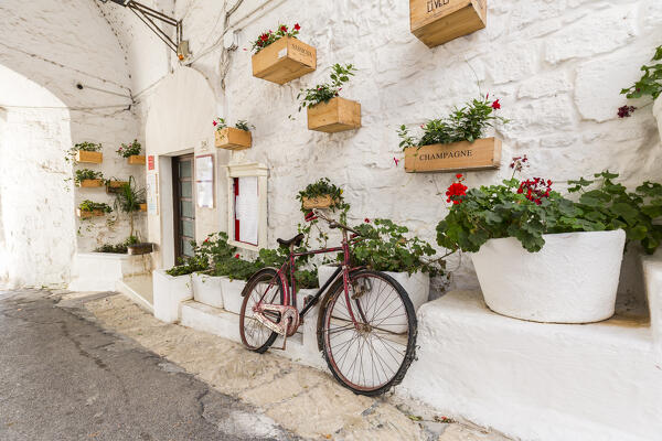 Ostuni, Itria Valley, Brindisi district, Apulia, Italy
