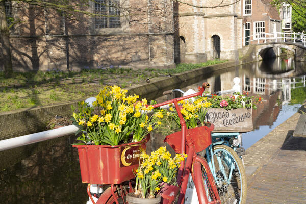 Delft, South Holland (Zuid-Holland), Netherlands