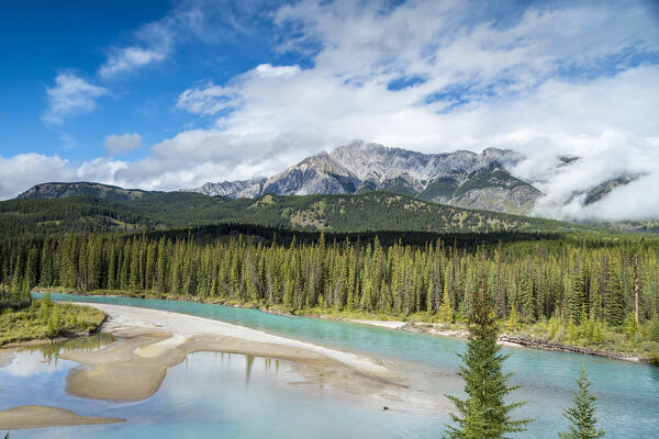 Icefields Parlway near Lake Louise, Banff  National Park, Alberta, Canada