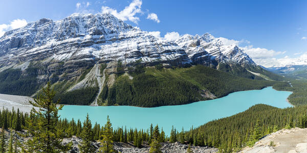 Peyto Lake along Icefileds Parkway in Banff National Park, Alberta, Canada