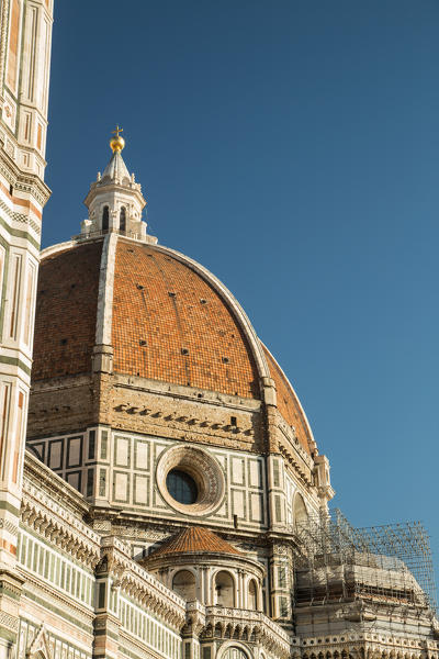 Dome of Florence Cathedral designed by the architect Filippo Brunelleschi
Europe, Italy, Tuscany, Province of Florence, Florence