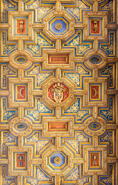 The ceiling of the Church of the Holy Spirit in the Saxon District
Europe, Italy, Lazio, Province of Rome, Rome