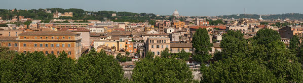Europe, Italy, Lazio, Rome. Trastevere's Roof from Orange's Garden.