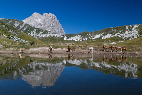 Europe, Italy, Abruzzo. Gran Sasso and Monti della Laga National Park