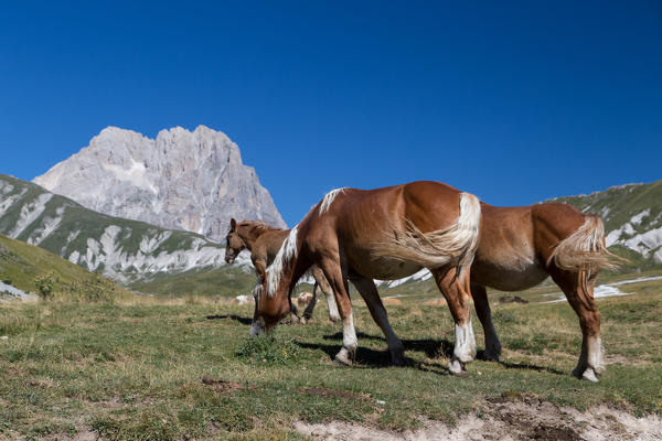 Europe, Italy, Abruzzo. Gran Sasso and Monti della Laga National Park