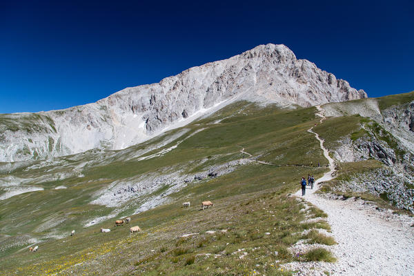 Europe, Italy, Abruzzo. Gran Sasso and Monti della Laga National Park