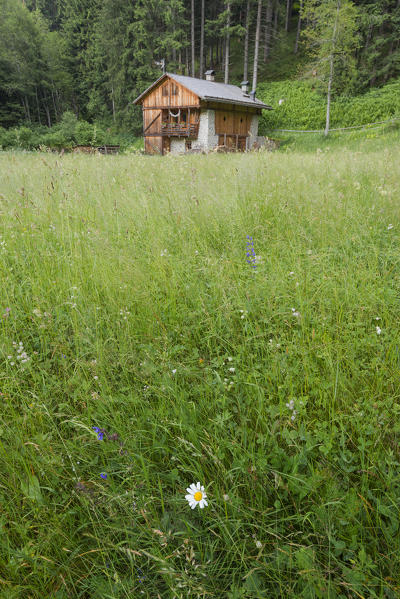 Europe, Italy, Trentino Alto Adige, Trento district, Rabbi valley.
Mountain lodge