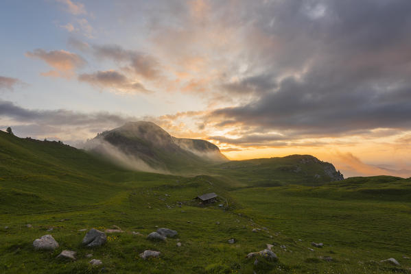 Europe, Italy, Trentino Alto Adige, Trento district, Nana Valley, natural Park Adamello Brenta.
Nana valley at sunrise