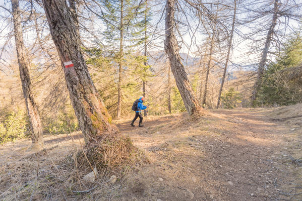 Person along the mountain path that leads to the Horn of Tres
Europe, Italy, Trentino Alto Adige, Trento district, Non valley, Tres city