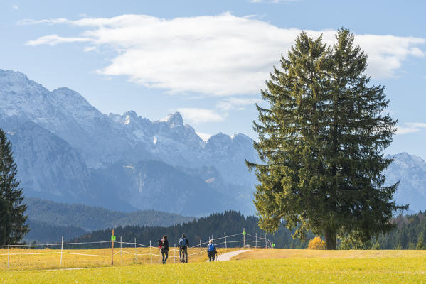 Bike path with Bavarian landscape
Europe, Germany, Mittenwald, Krun,  Bavaria