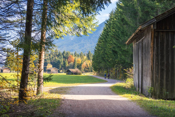 mountain road along Lake Barmsee
Europe, Germany, Bavaria, Krun, Barmsee