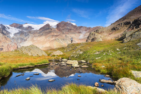 walker in the mountains of the Ortles-Cevedale group
Europe, Italy, Trentino Alto Adige, Sun valley, Pejo district