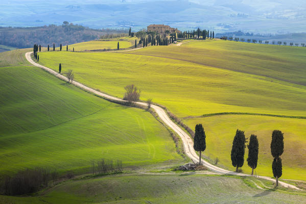 Farmhous and gladiator road in Pienza
Europe, Italy, Tuscany, Siena province, Pienza municipality