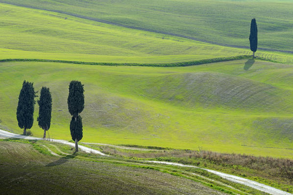 Green hills in Orcia valley
Europe, Italy, Tuscany, Siena district, Pienza municipality