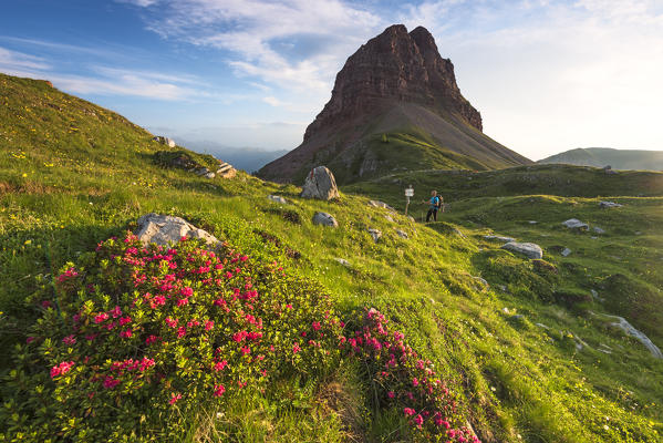 Palon mountain in summer season
Europe, Italy, Trentino, Non valley, Cles, Nana valley (MR)