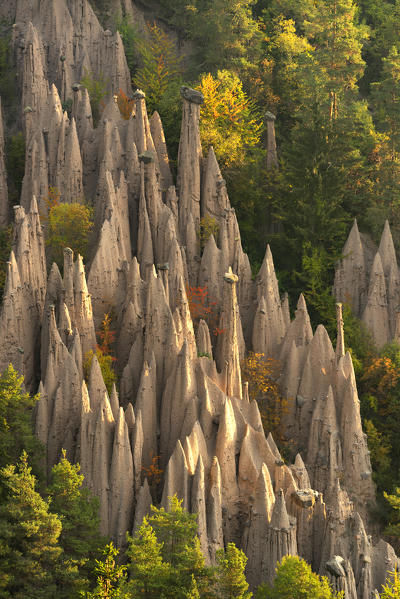Earth pyramids of Renon plateau
Europe, Italy, South Tyrol, Renon plateau, Bolzano province, Monte di Mezzo