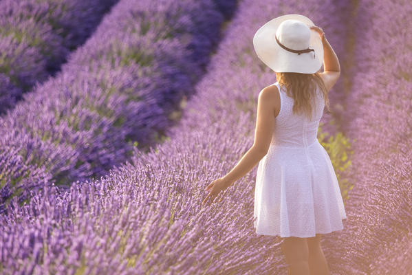 A woman in white dress in the fields of lavender near Valensole, Alpes-de-Haute-Provence, Provence-Alpes-Côte d'Azur, France.