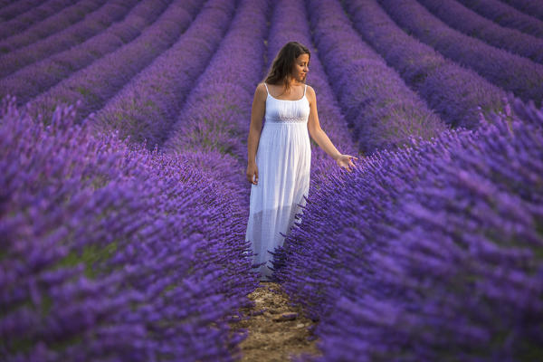 A woman in white dress in the fields of lavender near Valensole, Alpes-de-Haute-Provence, Provence-Alpes-Côte d'Azur, France.