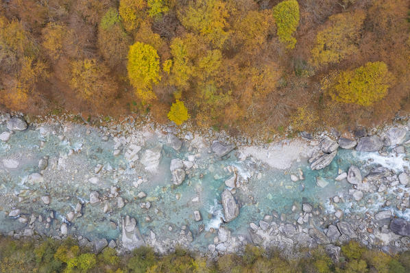 Aerial view of the river Verzasca during foliage time in autumn, near the town of Lavertezzo. Valle Verzasca, Canton Ticino, Switzerland.