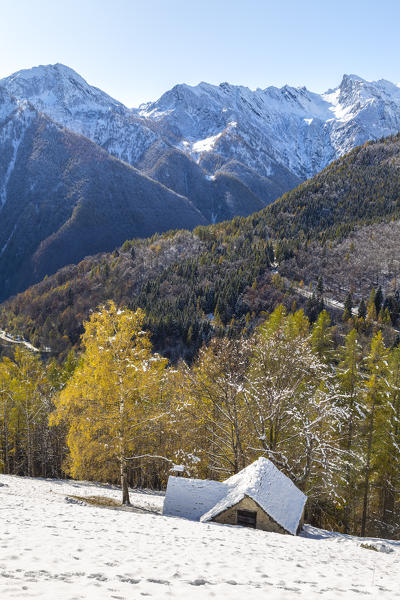 View of a mountain hut in front of Pizzo del Fornalino and Pizzo Montalto in autumn. Bognanco, Val Bognanco, Val d'Ossola, Verbano Cusio Ossola district, Piedmont, Italy.