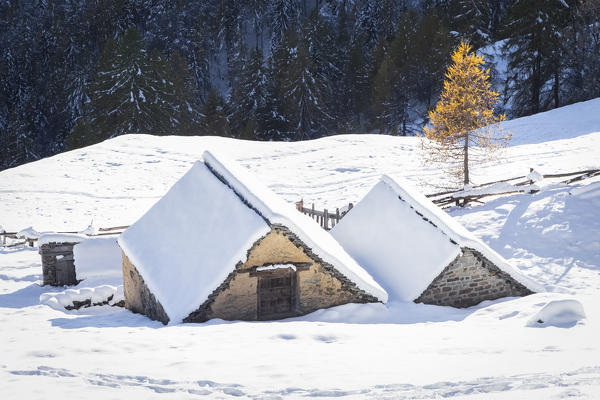 View of a mountain hut at Alpe San Bernardo in autumn after a snowfall. Bognanco, Val Bognanco, Val d'Ossola, Verbano Cusio Ossola district, Piedmont, Italy.