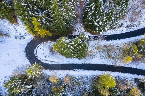 Aerial view of the road leading to La Gomba after a snowfall in autumn. Bognanco, Val Bognanco, Val d'Ossola, Verbano Cusio Ossola district, Piedmont, Italy.