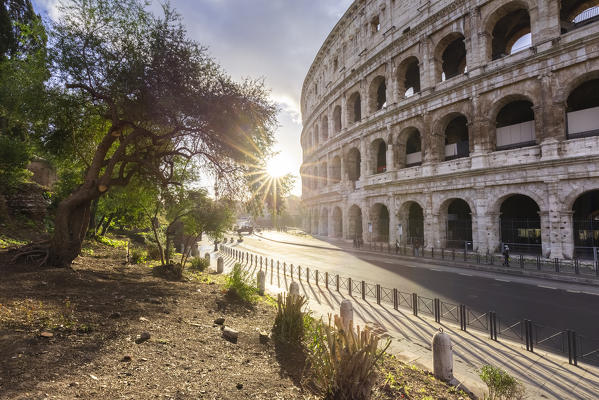 The Colosseum during a winter sunrise. Rome, Lazio, Italy. 