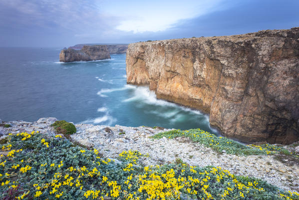 The cliffs of Cabo De San Vicente at sunset, overlooking the Atlantic Ocean. Sagres, Vila do Bispo, Algarve, Portugal, Europe.