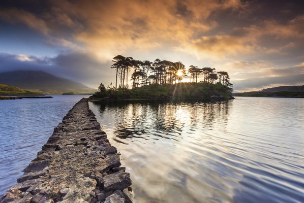 View of Pine Island on the Derryclare Lough lake at sunrise. Pine Island, Connemara National Park, County Galway, Connacht province, Inagh Valley, Ireland, Europe.