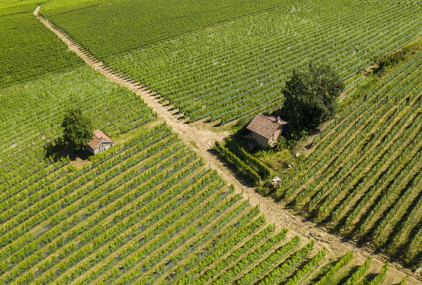 Aerial view of a hut in the vineyards surrounding La Morra. La Morra, Barolo wine region, Langhe, Piedmont, Italy, Europe.