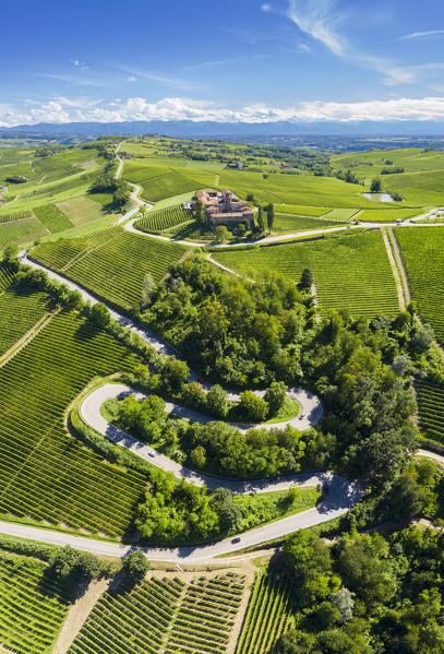 Aerial view of the winding road leading to the Castello di La Volta. Barolo, Barolo wine region, Langhe, Piedmont, Italy, Europe.