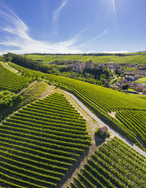 Aerial view of the typical town of Barolo and its castle Castello Falletti. Barolo, Barolo wine region, Langhe, Piedmont, Italy, Europe.