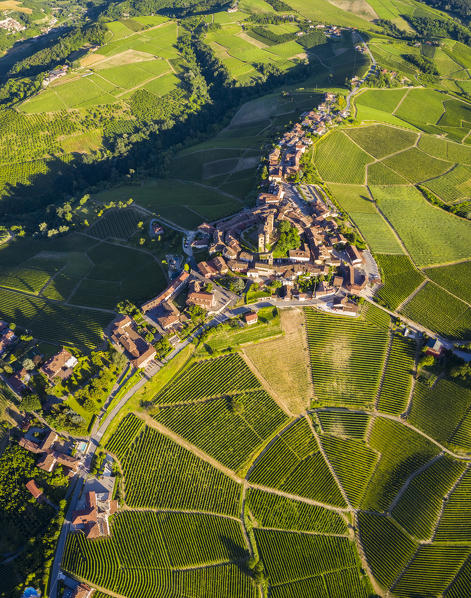 Bird's eye view of the medieval town of Serralunga d'Alba and its castle. Serralunga d'Alba, Langhe, Piedmont, Italy, Europe.