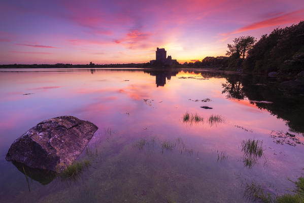 Sunrise at the Dunguaire Castle. County Galway, Connacht province, Ireland, Europe.