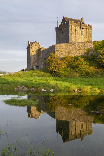 Sunrise at the Dunguaire Castle reflected in its moat. County Galway, Connacht province, Ireland, Europe.