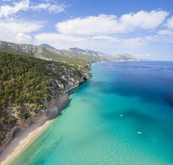Aerial view of the amazing beach and caves of Cala Luna, Orosei gulf, Nuoro district, Ogliastra, Sardinia, Italy. 
