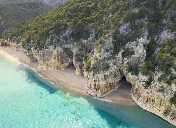 Aerial view of the amazing beach and caves of Cala Luna, Orosei gulf, Nuoro district, Ogliastra, Sardinia, Italy. 
