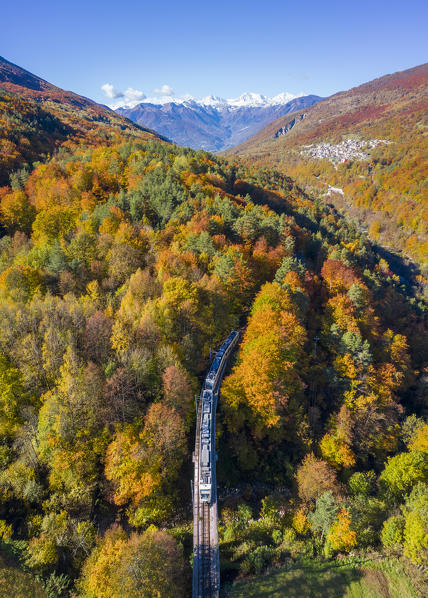 The Vigezzina-Centovalli train passes over a bridge in the autumnal colors of foliage near Gagnone-Orcesco. Valle Vigezzo, val d'Ossola, Verbano Cusio Ossola, Piedmont, Italy.