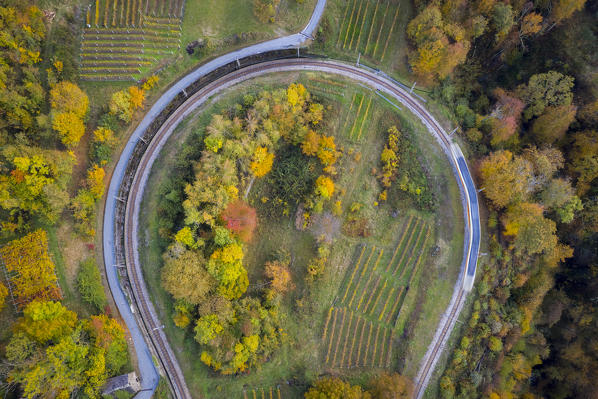 The Vigezzina-Centovalli train passes over a round shape curve of the railway in the autumnal colors of foliage near Trontano. Valle Vigezzo, val d'Ossola, Verbano Cusio Ossola, Piedmont, Italy.