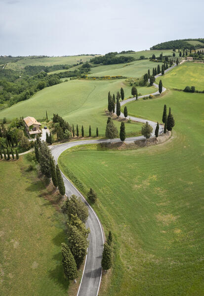 Aerial view of the iconic cypresses road of Monticchiello. Pienza, Orcia Valley, Siena district, Tuscany, Italy, Europe.