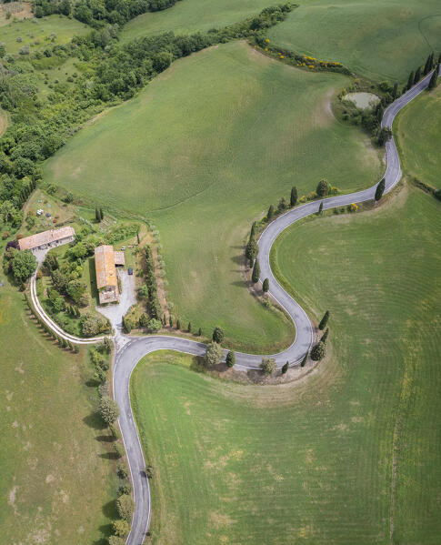 Aerial view of the iconic cypresses road of Monticchiello. Pienza, Orcia Valley, Siena district, Tuscany, Italy, Europe.