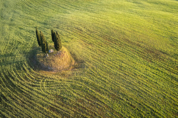 Aerial view of a group of cypresses and a little cross in a field near San Quirico d'Orcia. Val d'Orcia, Tuscany, Italy.