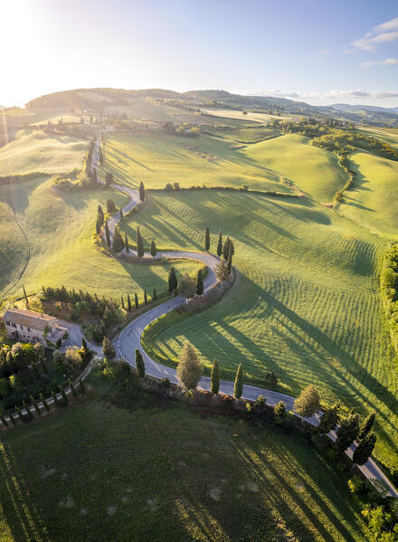 Aerial view of the iconic cypresses road of Monticchiello at sunrise. Pienza, Orcia Valley, Siena district, Tuscany, Italy, Europe.
