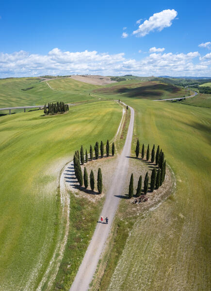 Aerial view of a couple holding hands at the Cypresses Ring near the famous San Quirico d'Orcia cypresses. Val d'Orcia, Tuscany, Italy.
